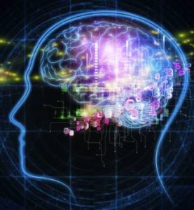 Brain picture Brain picture