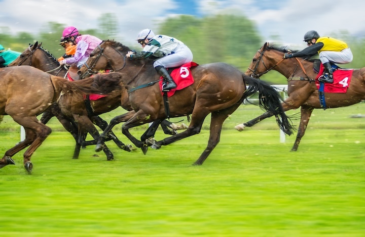 2025 John Of Gaunt Stakes