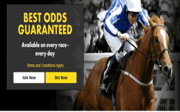 odd guarantee odd guarantee