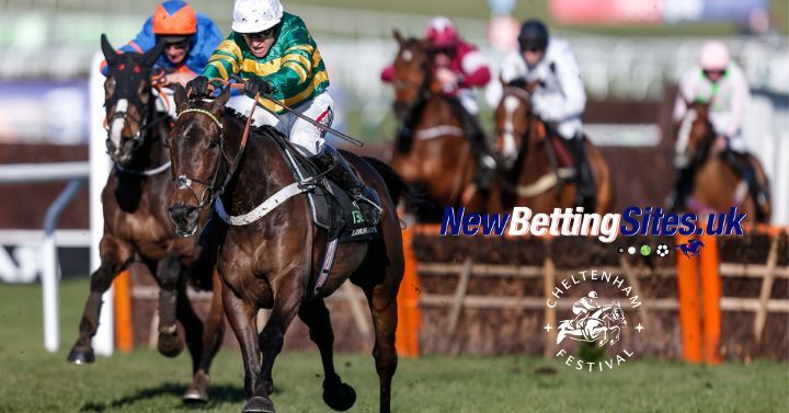 Champion Hurdle: Ten-Year Trends and Best Bets