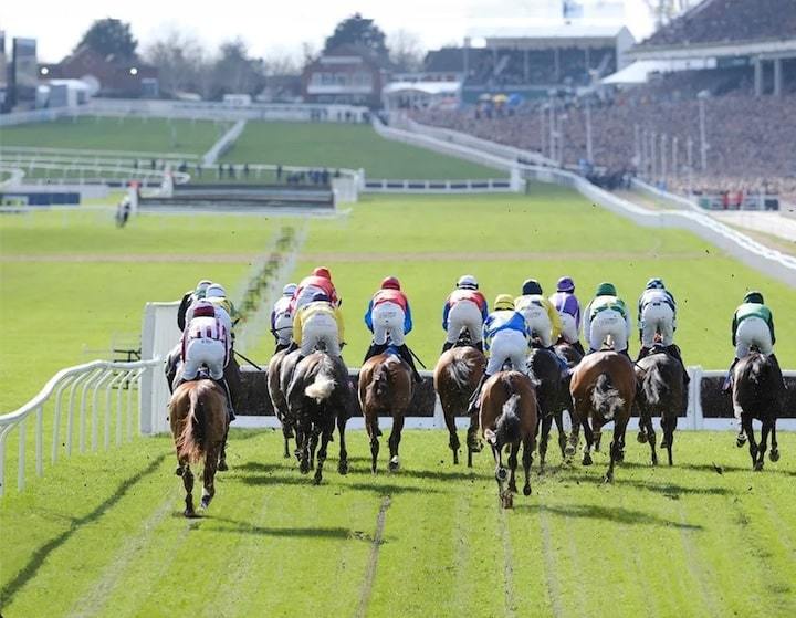 Cheltenham 2024: Pick of the Irish Contenders on Day One