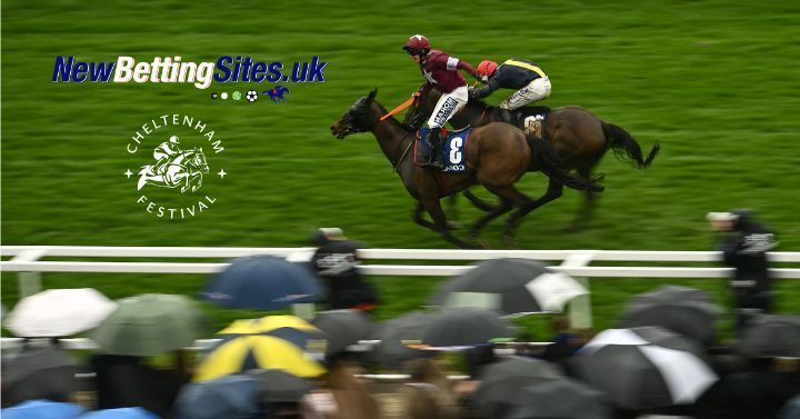 Mullins Magic in March: Best Betting Sites for the Cheltenham Festival and Lucky 15 Selections