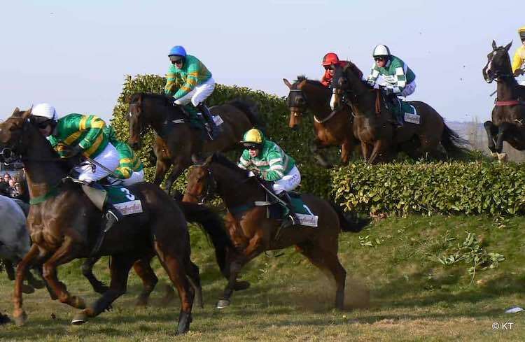 horse racing picture