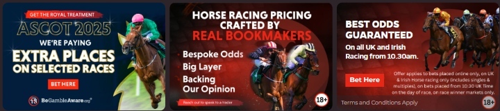 DragonBet Offers