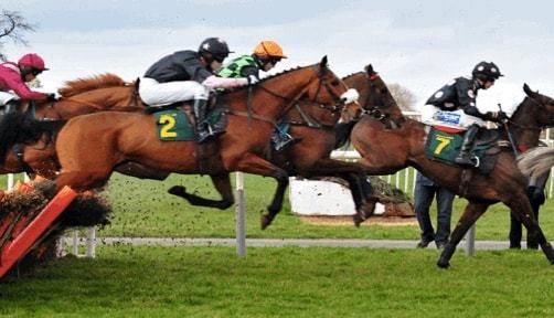 horse racing jumping