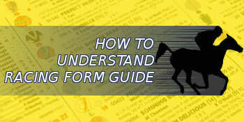 How to Understand Racing Form Guide How to Understand Racing Form Guide