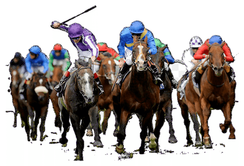 horse racing picture