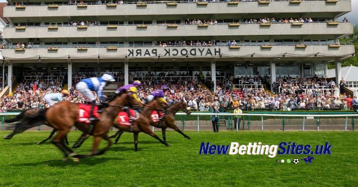 ITV Racing Lucky 15: Best Bets from Goodwood, Haydock, and the Curragh