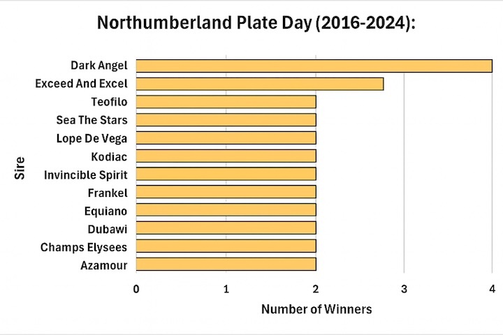 Northumberland Plate Day (2016-2024) winners