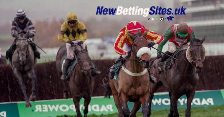 Paddy Power Gold Cup: Each Way Trends