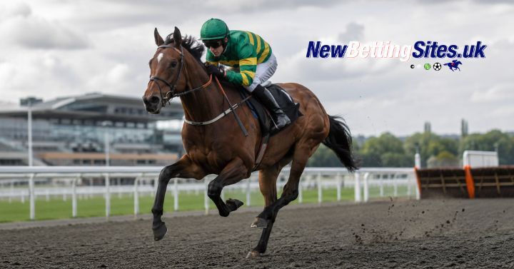 September Stakes Constitution Hill the Trends Buster