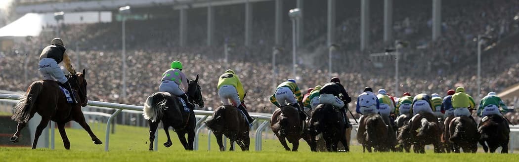 Cheltenham horse racing