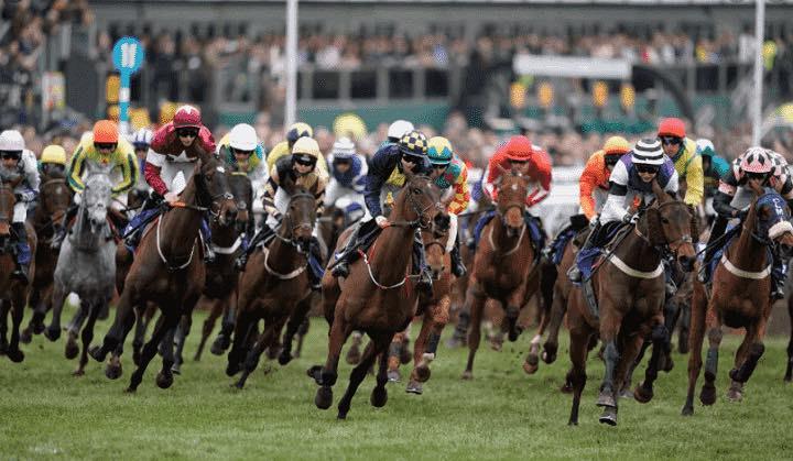 What Young Stars Could Steal the Show at Cheltenham?