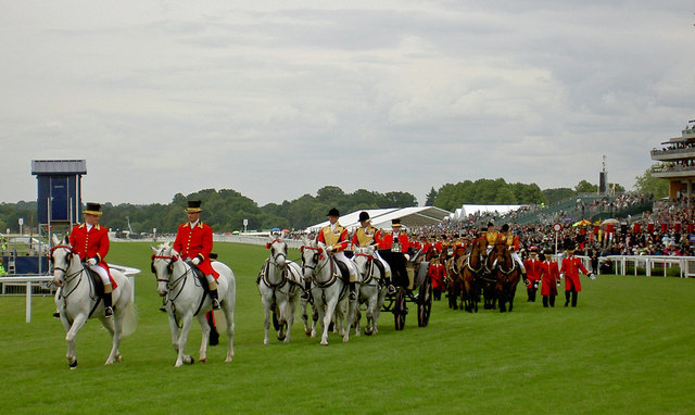 Royal ascot horse racing